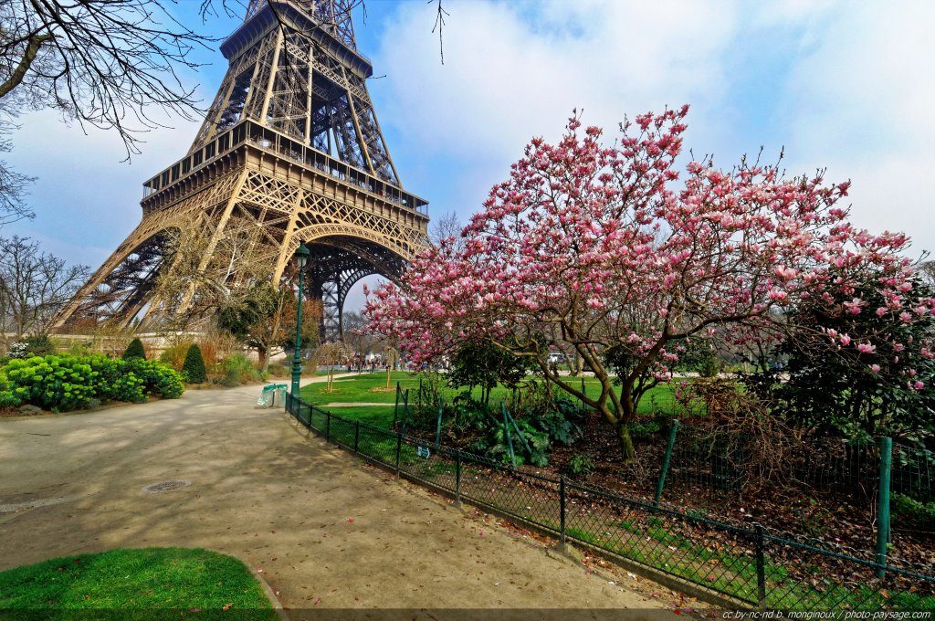 TOP 5 des plus GRANDS PARCS de PARIS - Les cinq parcs les plus vastes